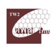  สมาคมติดตามการพัฒนาสตรีในประเทศไทย (ตพส.ไทย)